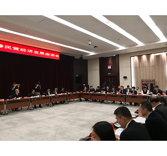 全國(guó)人大代表、方大集團(tuán)董事長(zhǎng)熊建明參加檢察機(jī)關(guān)服務(wù)保障民營(yíng)經(jīng)濟(jì)發(fā)展調(diào)研座談會(huì)